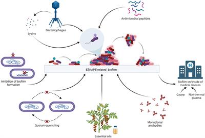 Recent advances to combat ESKAPE pathogens with special reference to essential oils